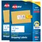 Avery Printable Shipping Labels with Sure Feed, 2" x 4" Customizable Stickers, White, 500 Blank Mailing Labels Total, Great for Mailing, Shipping, and More (2-Pack of 8163)
